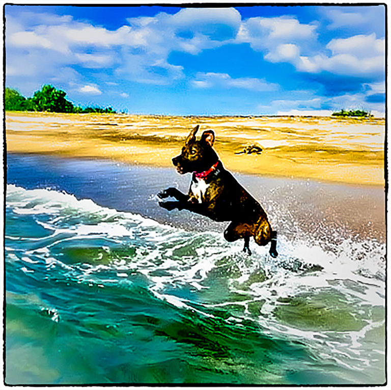 Manipulated Art In Class A By Lynn Curtis For Ipo Fun OCT-2018.jpg